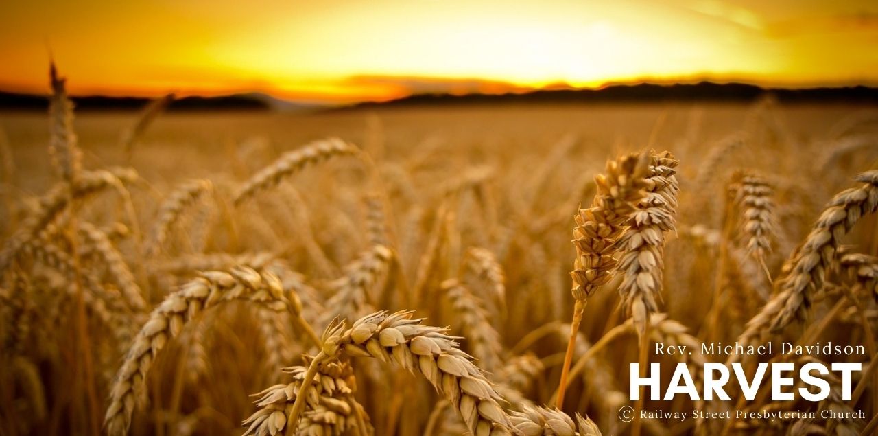 Harvest 2020
